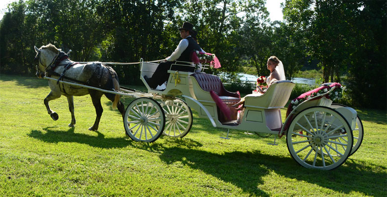 elegant wedding